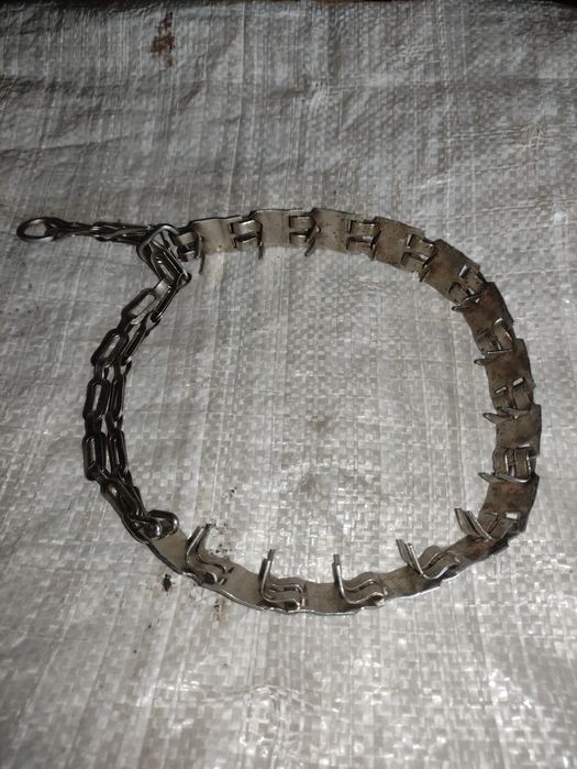 Продам ошейник строгий.