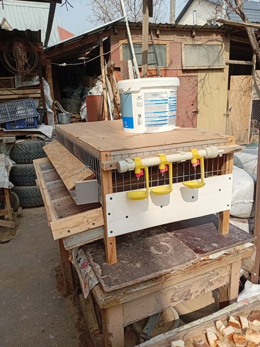 Клетка для перепелов