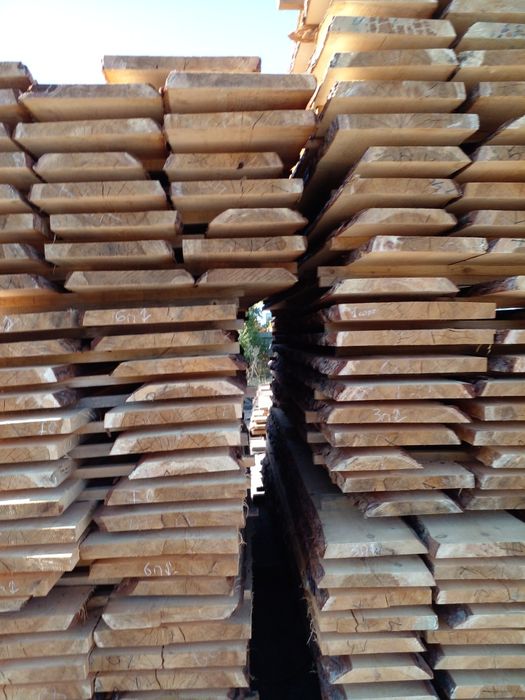 Лес доска сухой сосна карагач