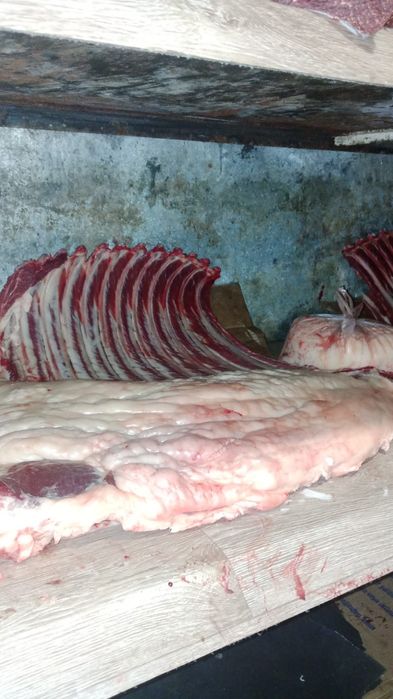 Продам мясо от 150000тг