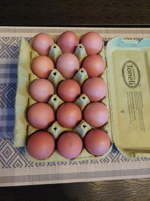 Oua de gaina de tara