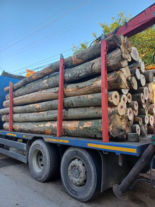 Aduc lemne la comandă