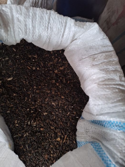 Vand floarea soarelui