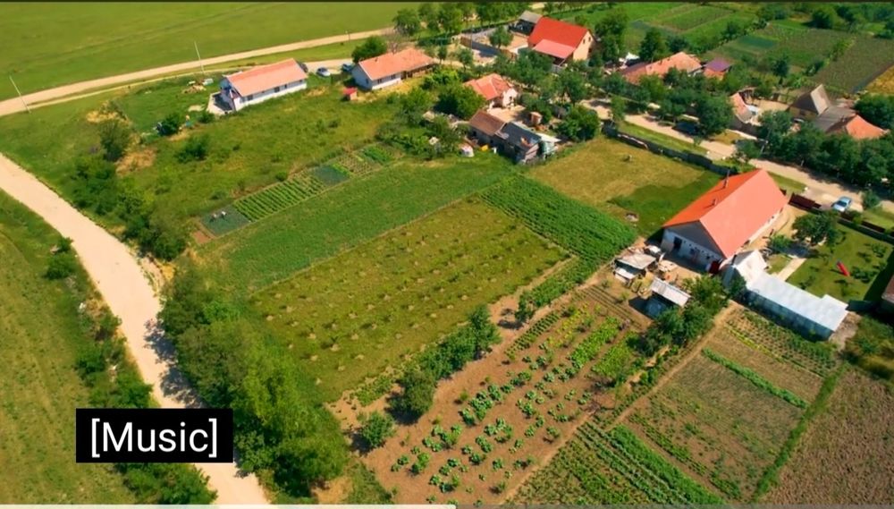 Loc de casă intravilan – Felnac | 1440 mp | Utilități la stradă - Vedere 3