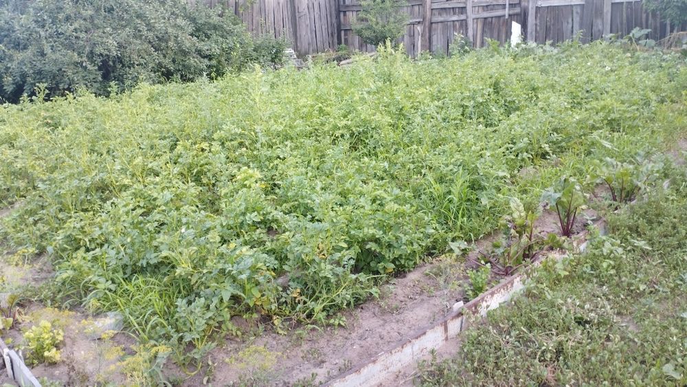 Продам большой благоустроенный дом!