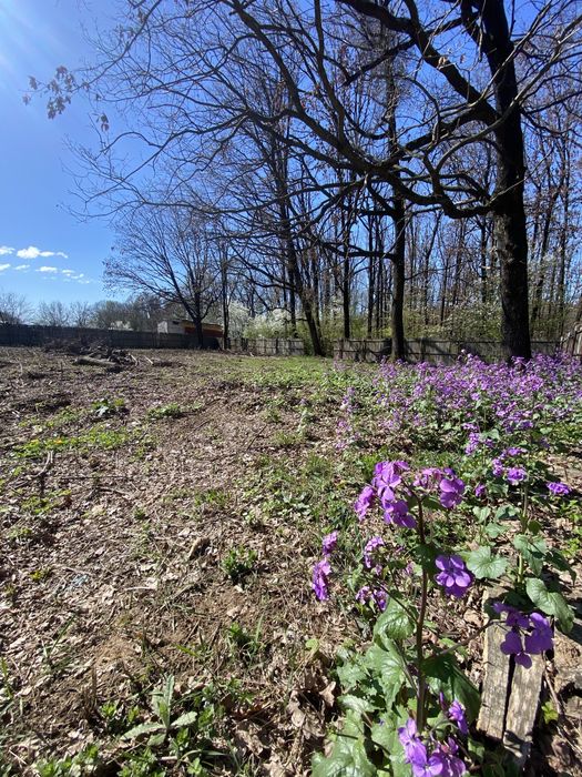 Teren de vis langa Pitesti
