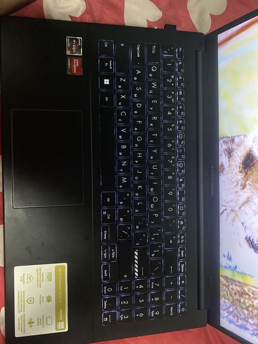 Asus vivobook Go 14/15