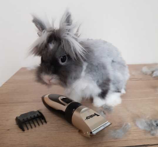 Машинка за подстригване груминг grooming, кучета котки домашни любимци