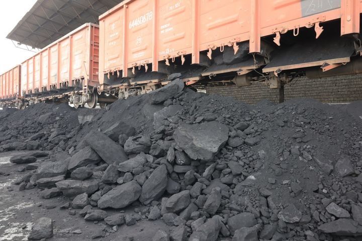 Кумир сотилади турли хил ало сифатли.Ташкент буйича уйизгача етказамиз