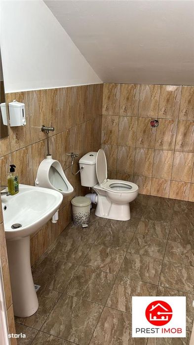 De vanzare spatiu comercial cu teren de 80 arii, Santioana, Jud Mures