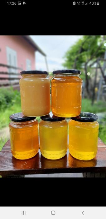Vând miere de albine 100% naturală.