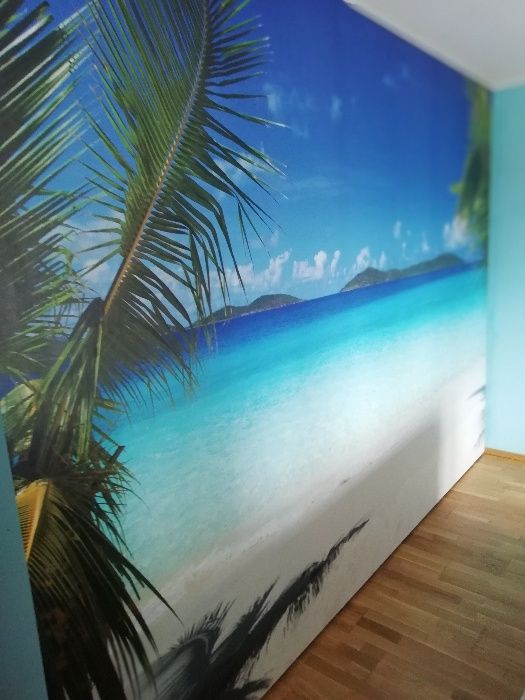 Montaj tapet si foto tapet de la 20 lei metru patrat