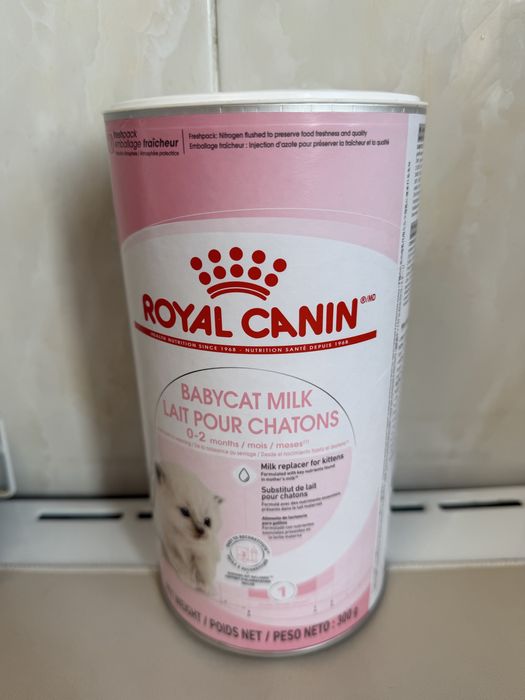 Кошачье молоко. Royal canin
