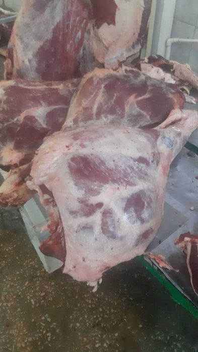 мясо говядина, ляжки