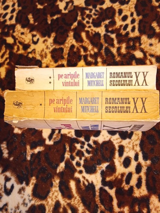 Pe aripile vântului (1971)