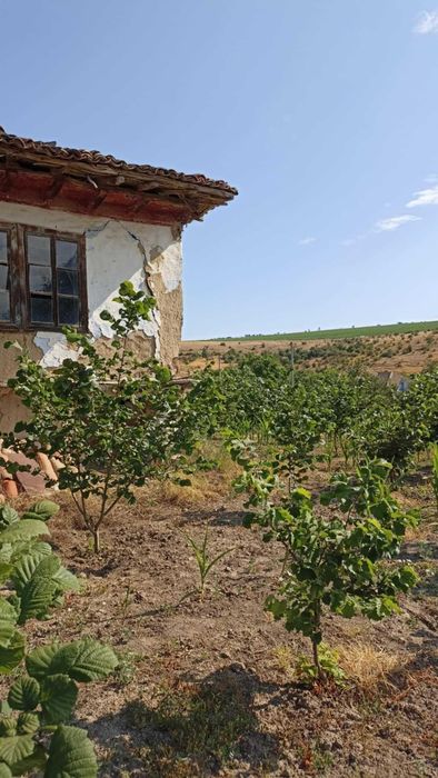 Продава се Къща в с. Мали извор, Област Добрич - 40 кв.м за 319 €/кв.м - Снимка #2