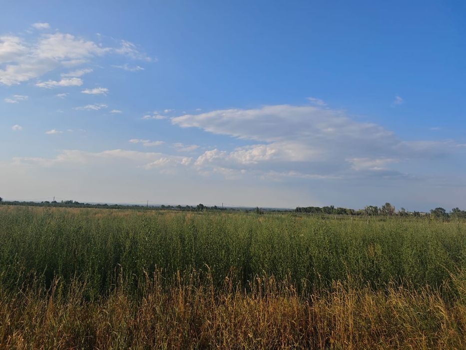 Земельный участок