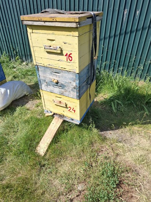 Пчелы готовые к работе