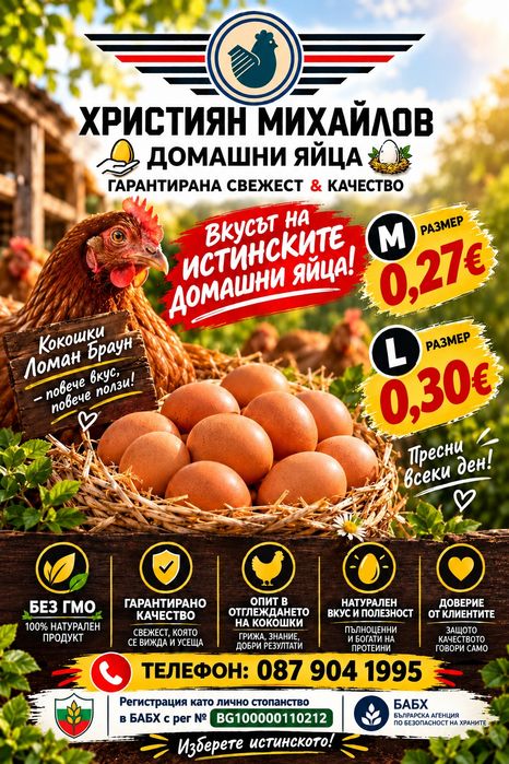 Домашни яйца на едро и дребно