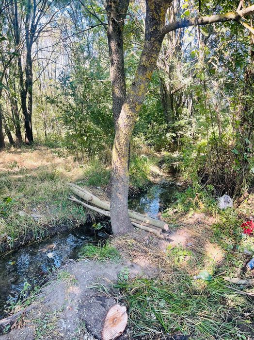 Teren intravilan com Mârzănești sat Valea Parului