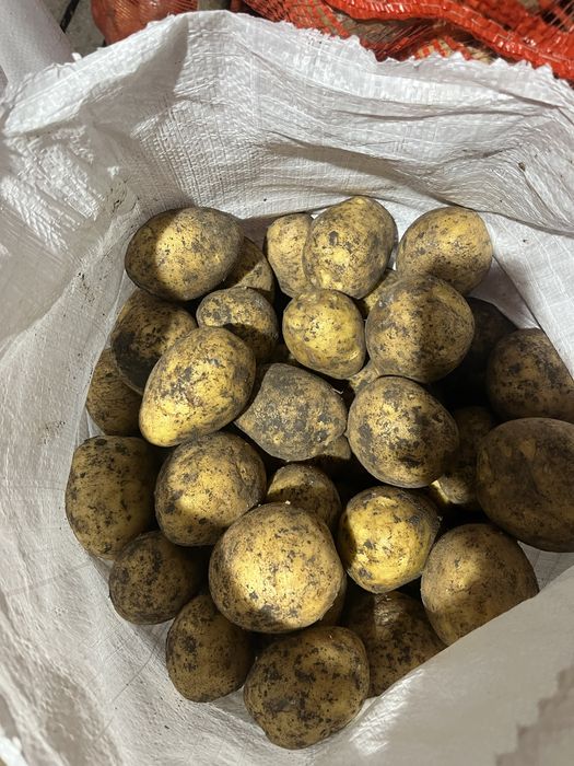 Кортофель с доствакой