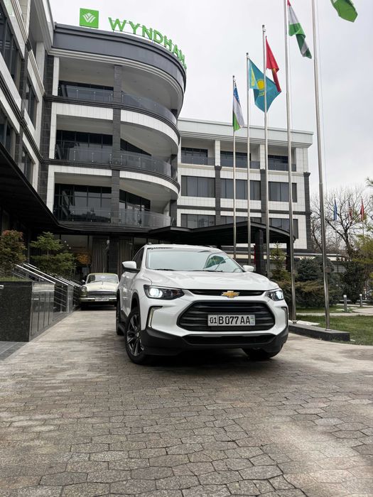 Трекер 2 - 2025 - Краска Родной! 100% - 12.350км Пробеги