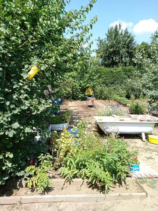 Продам дом 5 комнат все условия