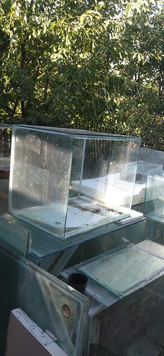 Acvarii și accesorii