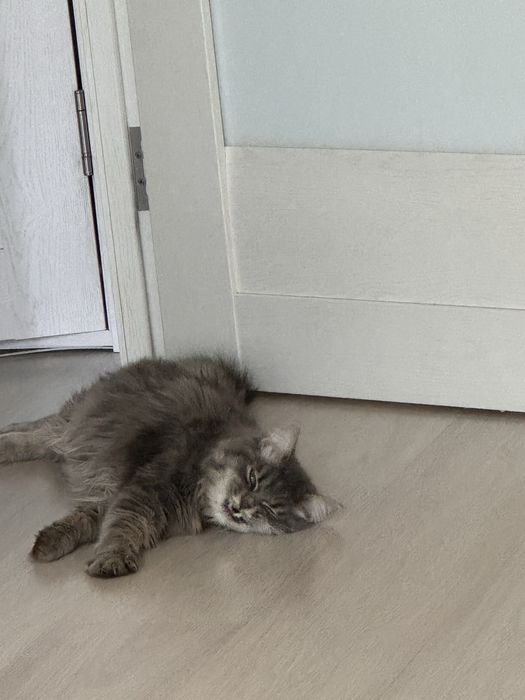 на хорошие руки