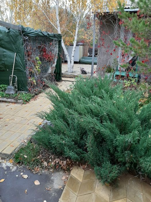 Продаю дачу в общ.Плодородие.прав.б.