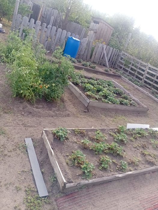 Продам дачу ПКСТ красно партизанское сообщество