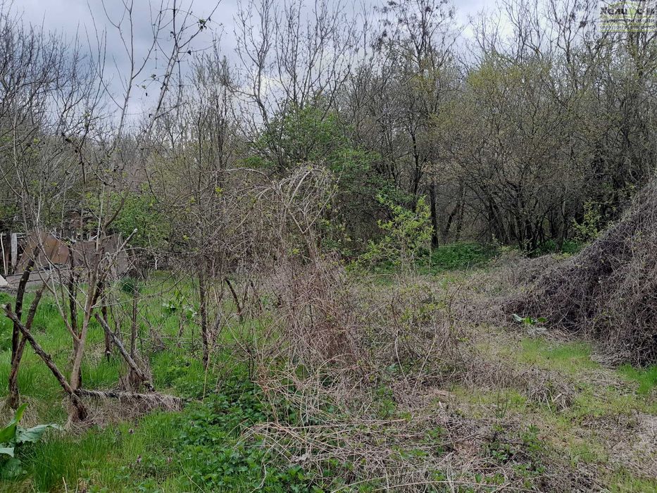 Продава се Парцел в Монтана, Пъстрина - 1625 кв.м за 5 €/кв.м - Снимка #1