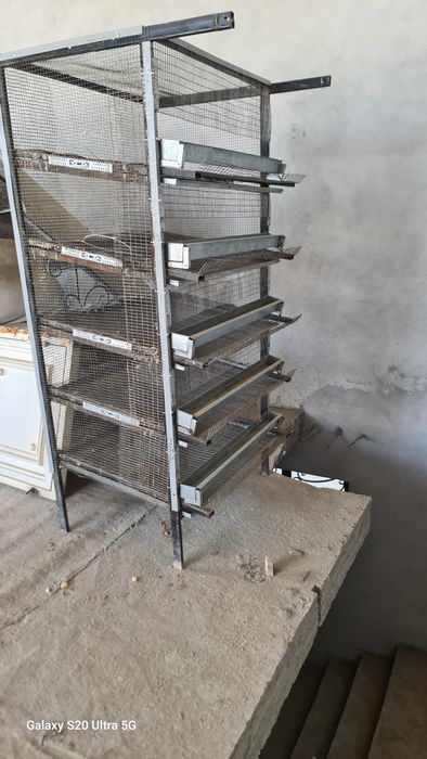 Bedona qafas kup ishlanmagan