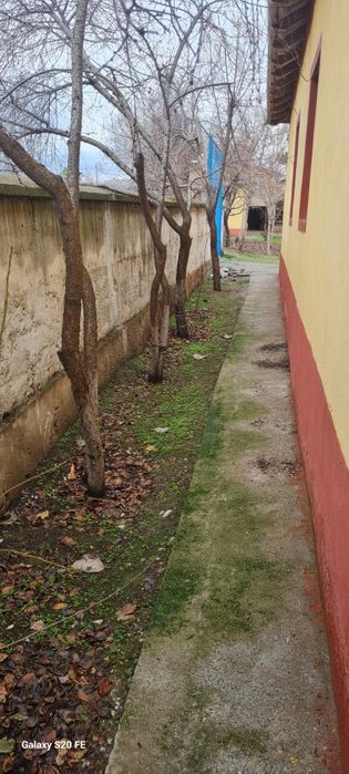 Сурхондарё вилоят денов