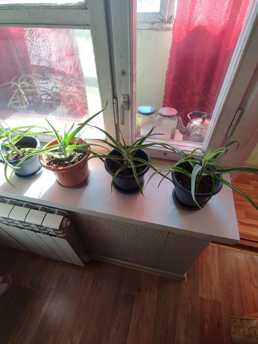 Продам продам отльл