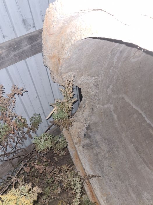 Продам Кольцо септик