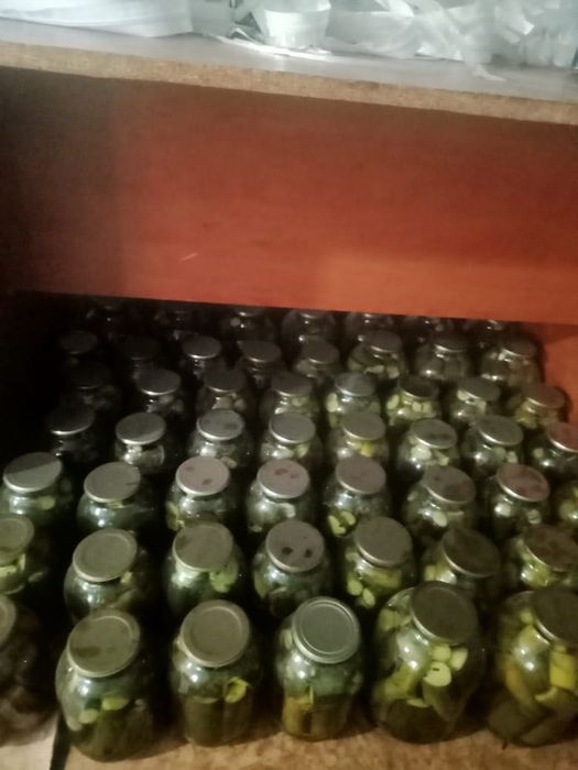 Свежие огурцы и Помидор