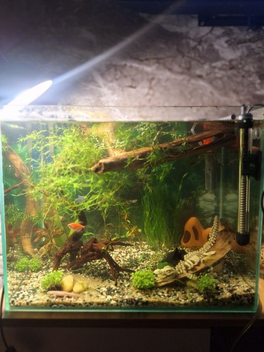 продам аквариум 62 литра