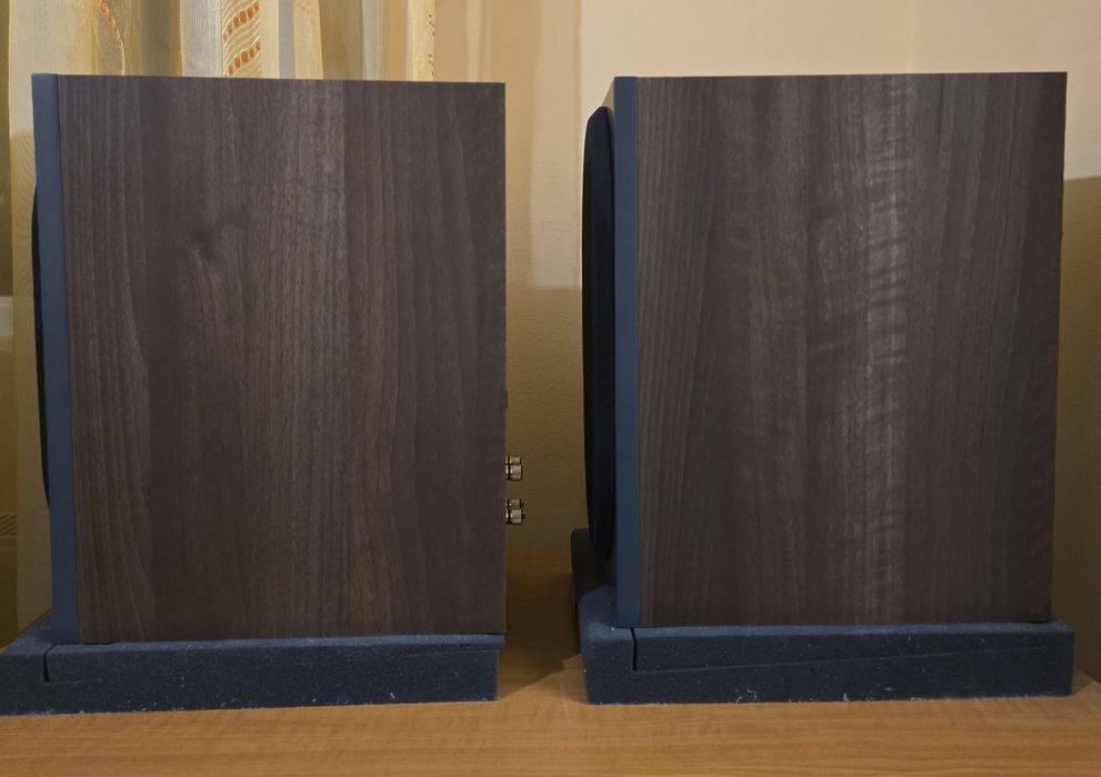 Boxe Monitor Bronze 100