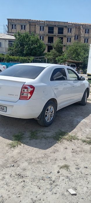 Cobult 2024 toza prapanda 40000 yurgan