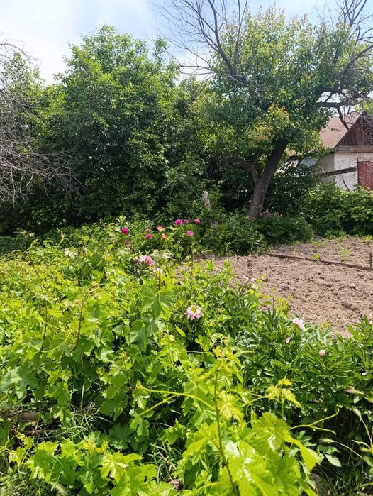 Продается дача в массиве Чолдала