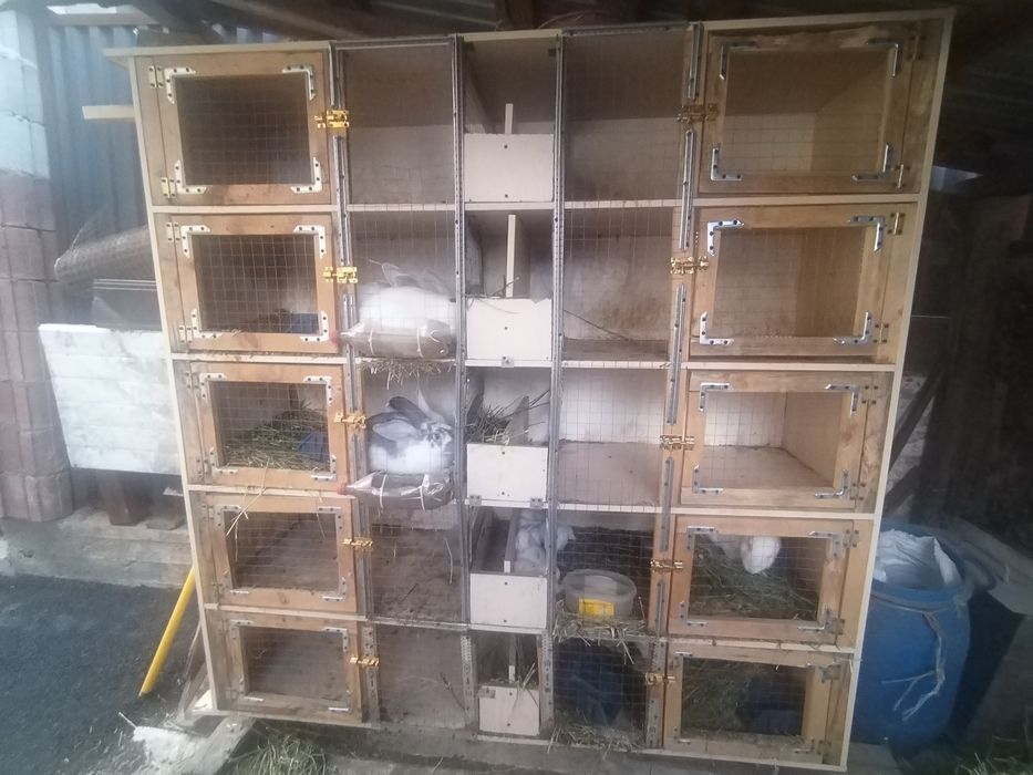 Продам кроликов вместе с клеткой