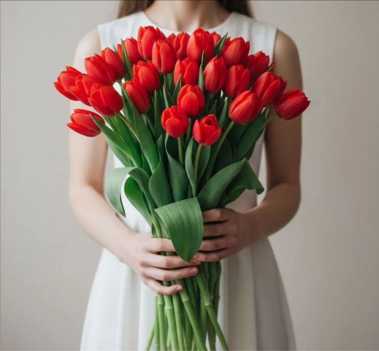 Қызғалдақтар тюльпаны