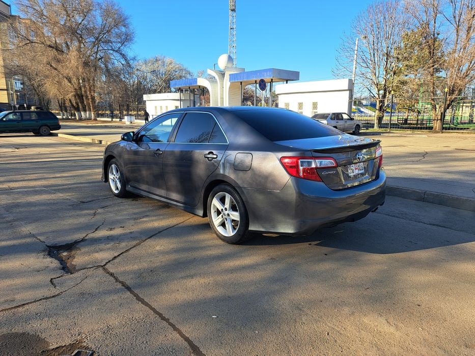 Перевозка пассажиров