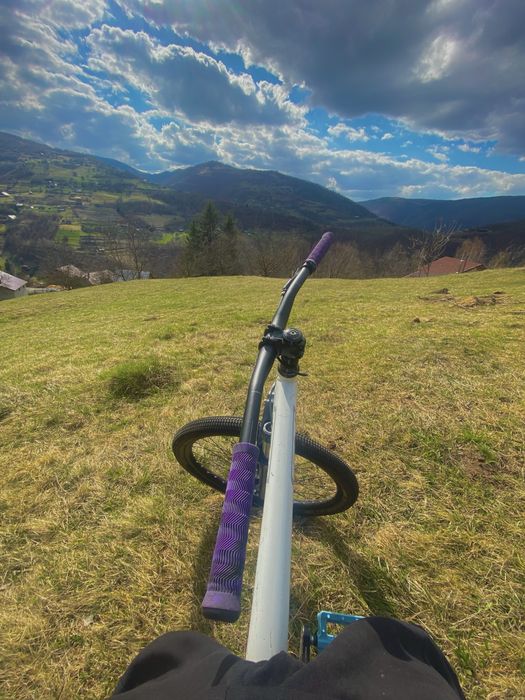 Vand GT dirt jumper
