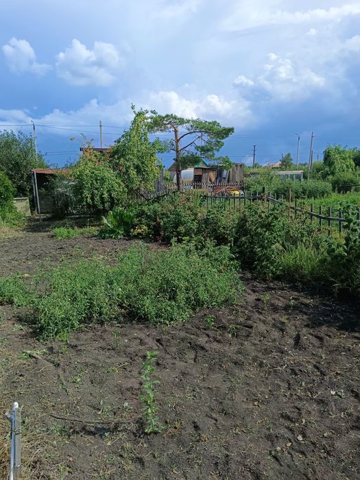 Дача, район Новопавловки