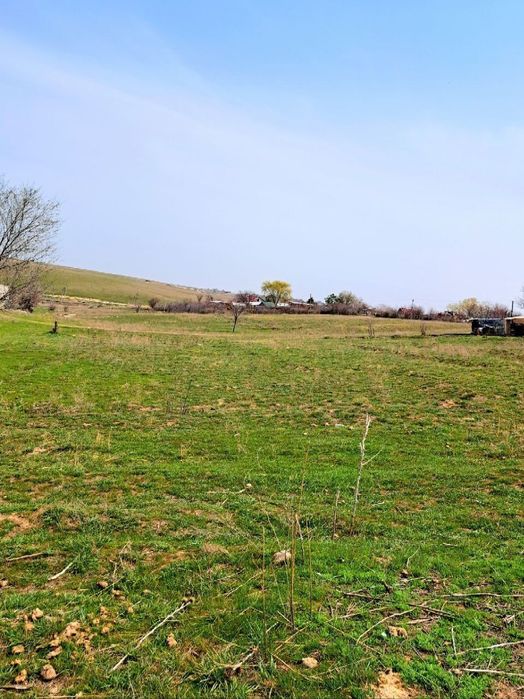 Участок 10 соток