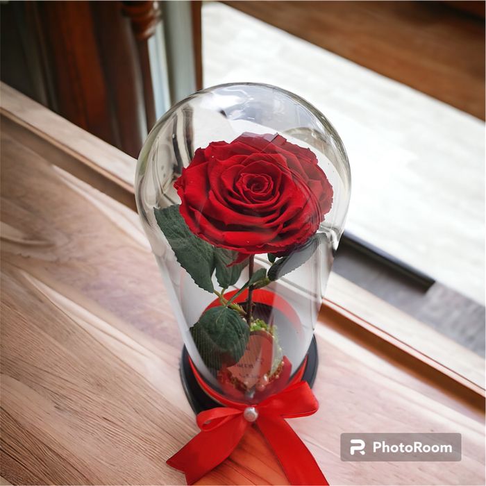 Trandafir rosu in cupola