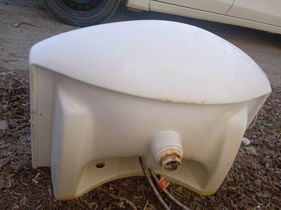 Раковины тюльпаны разные