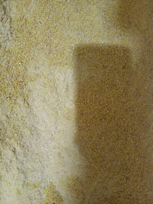 Арпа, бидай, арпа    уак